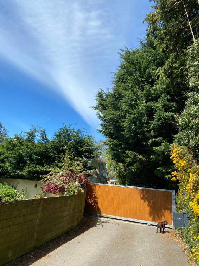 Scarr View 1st floor Apartment Wicklow Buitenkant foto