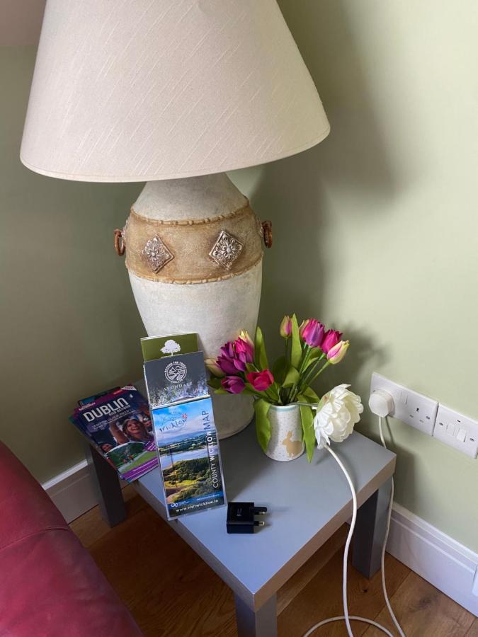 Scarr View 1st floor Apartment Wicklow Buitenkant foto